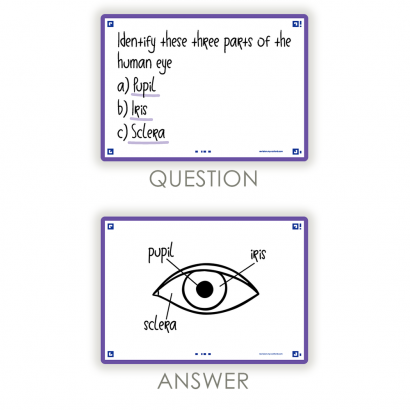 OXFORD FLASH 2.0 flashcards - blank with violet frame, 10,5 x 14,8 cm, pack of 80 - 400133933_1100_1573415733 - OXFORD FLASH 2.0 flashcards - blank with violet frame, 10,5 x 14,8 cm, pack of 80 - 400133933_2300_1573415737 - OXFORD FLASH 2.0 flashcards - blank with violet frame, 10,5 x 14,8 cm, pack of 80 - 400133933_2301_1573415735 - OXFORD FLASH 2.0 flashcards - blank with violet frame, 10,5 x 14,8 cm, pack of 80 - 400133933_2600_1575014809 - OXFORD FLASH 2.0 flashcards - blank with violet frame, 10,5 x 14,8 cm, pack of 80 - 400133933_2601_1573670230 - OXFORD FLASH 2.0 flashcards - blank with violet frame, 10,5 x 14,8 cm, pack of 80 - 400133933_2604_1583149948 - OXFORD FLASH 2.0 flashcards - blank with violet frame, 10,5 x 14,8 cm, pack of 80 - 400133933_1301_1583149949 - OXFORD FLASH 2.0 flashcards - blank with violet frame, 10,5 x 14,8 cm, pack of 80 - 400133933_2605_1582052029 - OXFORD FLASH 2.0 flashcards - blank with violet frame, 10,5 x 14,8 cm, pack of 80 - 400133933_1300_1573415741 - OXFORD FLASH 2.0 flashcards - blank with violet frame, 10,5 x 14,8 cm, pack of 80 - 400133933_2302_1573415739 - OXFORD FLASH 2.0 flashcards - blank with violet frame, 10,5 x 14,8 cm, pack of 80 - 400133933_2303_1579780325 - OXFORD FLASH 2.0 flashcards - blank with violet frame, 10,5 x 14,8 cm, pack of 80 - 400133933_2304_1580817965 - OXFORD FLASH 2.0 flashcards - blank with violet frame, 10,5 x 14,8 cm, pack of 80 - 400133933_2603_1580817967