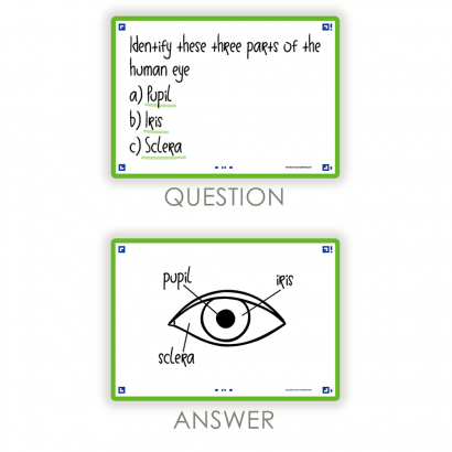 OXFORD FLASH 2.0 flashcards - blank with green frame, 10,5 x 14,8 cm, pack of 80 - 400133940_1100_1573415814 - OXFORD FLASH 2.0 flashcards - blank with green frame, 10,5 x 14,8 cm, pack of 80 - 400133940_2300_1573415820 - OXFORD FLASH 2.0 flashcards - blank with green frame, 10,5 x 14,8 cm, pack of 80 - 400133940_2301_1573415816 - OXFORD FLASH 2.0 flashcards - blank with green frame, 10,5 x 14,8 cm, pack of 80 - 400133940_2600_1575014851 - OXFORD FLASH 2.0 flashcards - blank with green frame, 10,5 x 14,8 cm, pack of 80 - 400133940_2601_1573670246 - OXFORD FLASH 2.0 flashcards - blank with green frame, 10,5 x 14,8 cm, pack of 80 - 400133940_2604_1582052100 - OXFORD FLASH 2.0 flashcards - blank with green frame, 10,5 x 14,8 cm, pack of 80 - 400133940_1301_1582053077 - OXFORD FLASH 2.0 flashcards - blank with green frame, 10,5 x 14,8 cm, pack of 80 - 400133940_2605_1582052103 - OXFORD FLASH 2.0 flashcards - blank with green frame, 10,5 x 14,8 cm, pack of 80 - 400133940_1300_1573415822 - OXFORD FLASH 2.0 flashcards - blank with green frame, 10,5 x 14,8 cm, pack of 80 - 400133940_2302_1573415818 - OXFORD FLASH 2.0 flashcards - blank with green frame, 10,5 x 14,8 cm, pack of 80 - 400133940_2303_1579780339 - OXFORD FLASH 2.0 flashcards - blank with green frame, 10,5 x 14,8 cm, pack of 80 - 400133940_2304_1580817898 - OXFORD FLASH 2.0 flashcards - blank with green frame, 10,5 x 14,8 cm, pack of 80 - 400133940_2603_1580817900