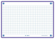 OXFORD FLASH 2.0 flashcards - 105x148 mm - quadrillé 5 mm - violet - lot 80 - Compatible SCRIBZEE® - 400133901_1100_1676966804