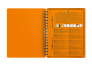 OXFORD International doppelspiralgebundenes Meetingbook - A5+ - 6mm liniert - 80 Blatt - Optik Paper® - 10-fach gelocht - SCRIBZEE® kompatibel - Deckel aus langlebigem Polypropylen - orange - 100103453_1300_1686174731 - OXFORD International doppelspiralgebundenes Meetingbook - A5+ - 6mm liniert - 80 Blatt - Optik Paper® - 10-fach gelocht - SCRIBZEE® kompatibel - Deckel aus langlebigem Polypropylen - orange - 100103453_2302_1686174736 - OXFORD International doppelspiralgebundenes Meetingbook - A5+ - 6mm liniert - 80 Blatt - Optik Paper® - 10-fach gelocht - SCRIBZEE® kompatibel - Deckel aus langlebigem Polypropylen - orange - 100103453_1501_1686174722 - OXFORD International doppelspiralgebundenes Meetingbook - A5+ - 6mm liniert - 80 Blatt - Optik Paper® - 10-fach gelocht - SCRIBZEE® kompatibel - Deckel aus langlebigem Polypropylen - orange - 100103453_1100_1686174737 - OXFORD International doppelspiralgebundenes Meetingbook - A5+ - 6mm liniert - 80 Blatt - Optik Paper® - 10-fach gelocht - SCRIBZEE® kompatibel - Deckel aus langlebigem Polypropylen - orange - 100103453_1500_1686174748