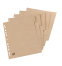 OXFORD Touareg Intercalaires Carton - A4 - 5 onglets - Non imprimé - 11 Trous - Beige - 100204964_1102_1686130658