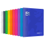 OXFORD easyBook®  CAHIER - 24x32cm - Couverture plastique avec pochettes - Agrafé - Grands carreaux Seyès - 96 pages - Couleurs assorties - 400111520_1400_1709630565