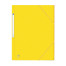 OXFORD EUROFOLIO+ 3-FLAPS FOLDER - A4 - With elastic - Cardboard - Yellow - 400126495_1100_1709205449