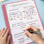 Beneficios de la Escritura a mano Oxford